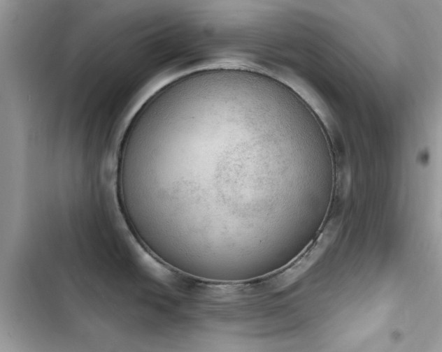 X0000103951438200809191430