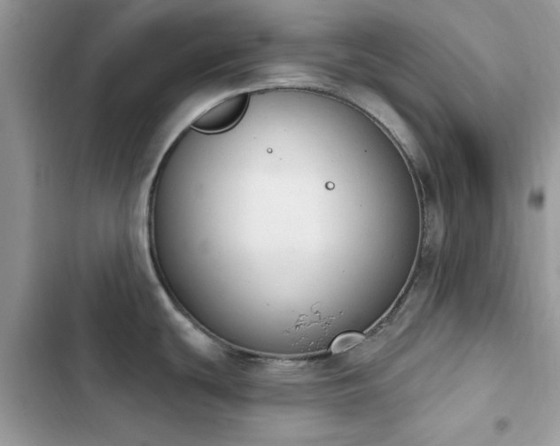 X0000103951439200809191430