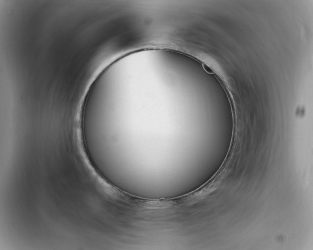 X0000103951440200809191430