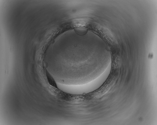 X0000103951441200809191430