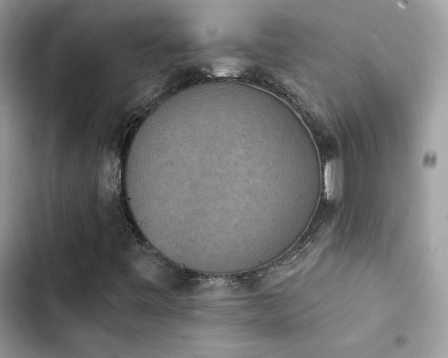X0000103951443200809191430