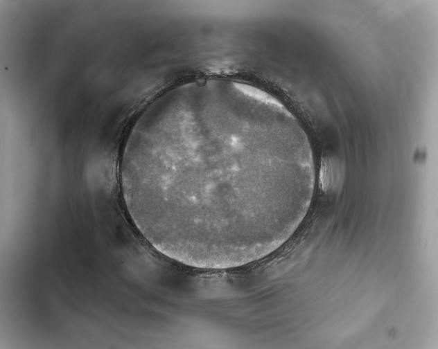 X0000103951444200809191430