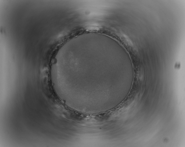 X0000103951445200809191430