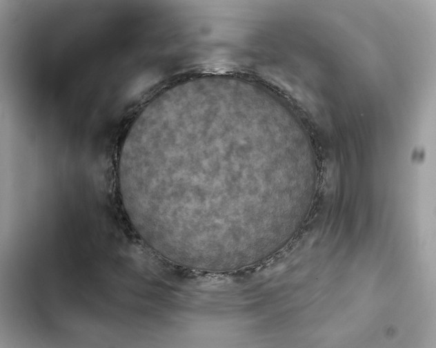 X0000103951446200809191430