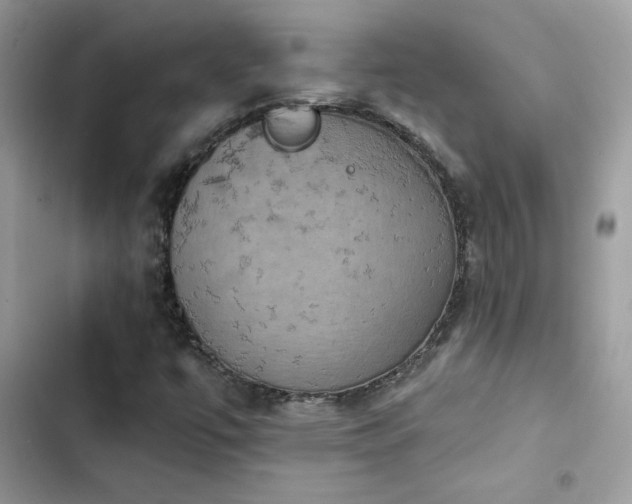 X0000103951447200809191430