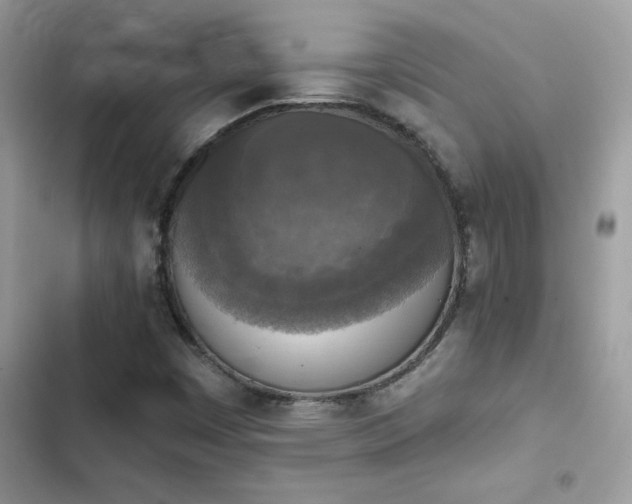 X0000103951449200809191430