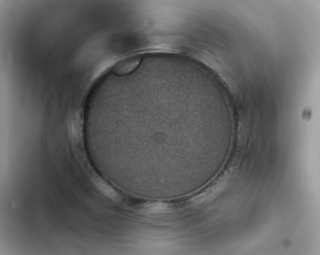X0000103951450200809191430