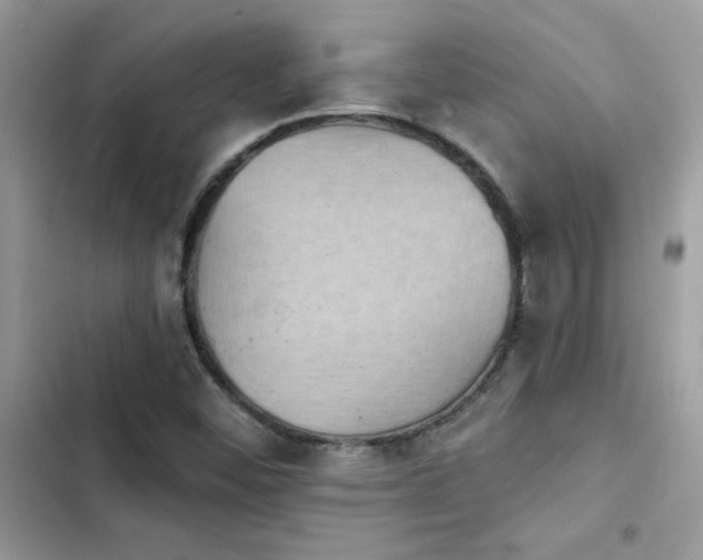 X0000103951452200809191430