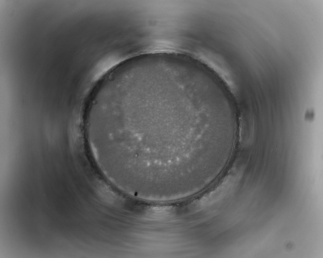 X0000103951453200809191430