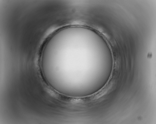 X0000103951454200809191430