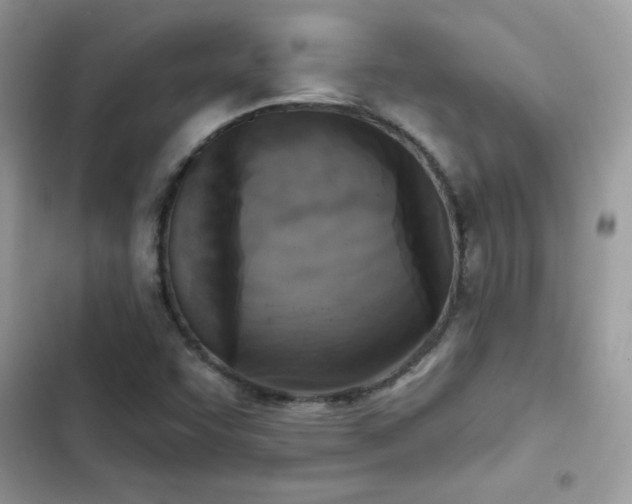 X0000103951455200809191430