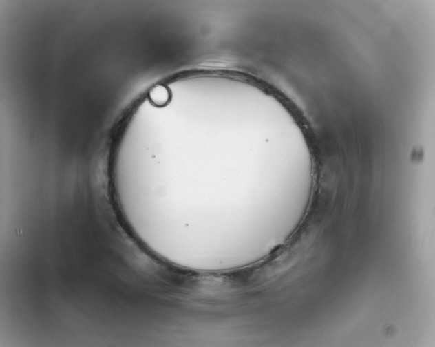 X0000103951456200809191430