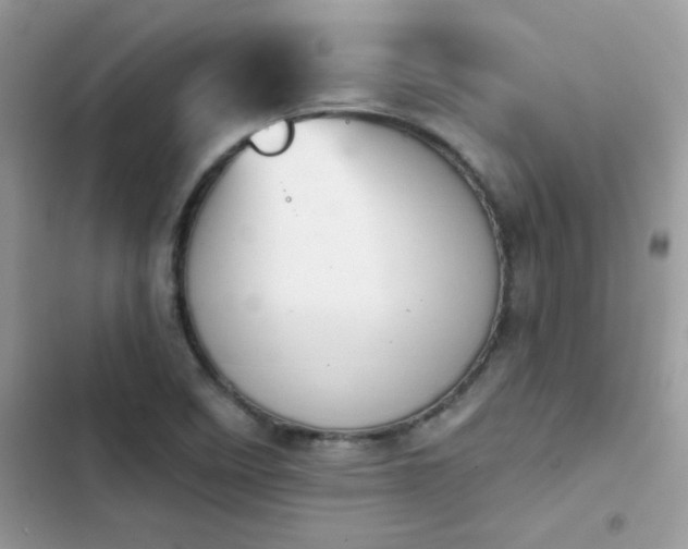 X0000103951458200809191429
