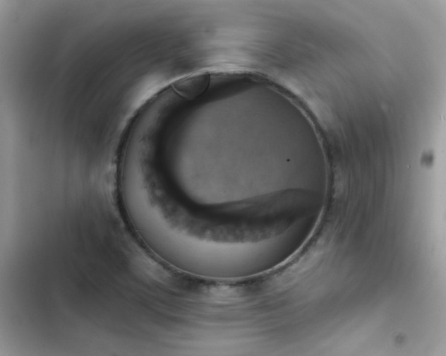 X0000103951459200809191429