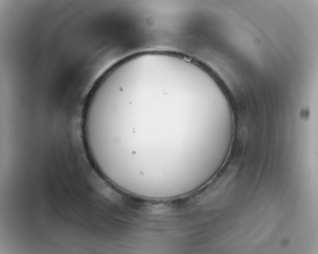 X0000103951460200809191429