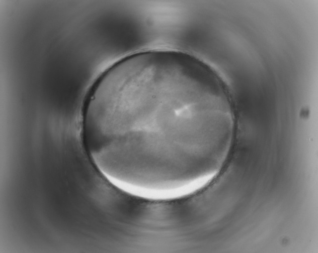 X0000103951461200809191429
