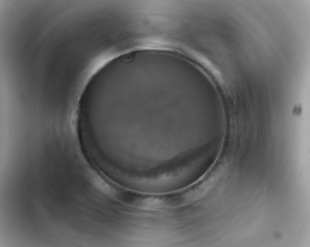X0000103951463200809191429