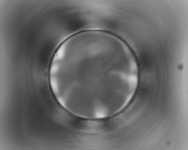 X0000103951465200809191429