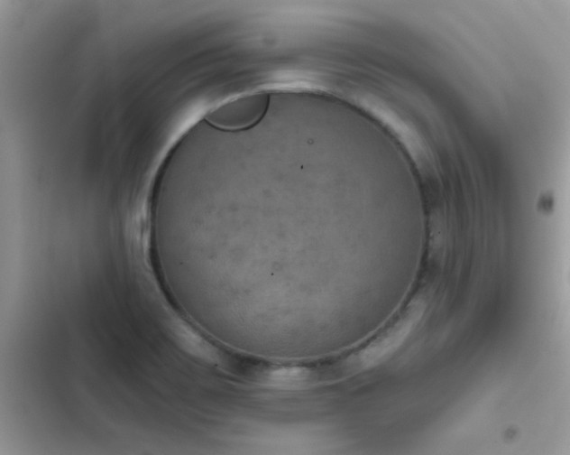 X0000103951467200809191429