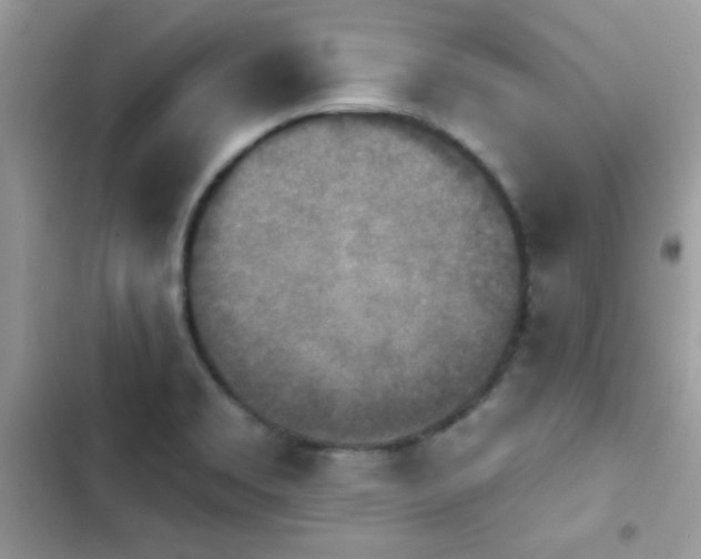 X0000103951469200809191429