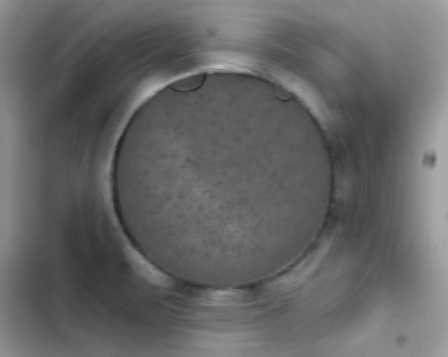 X0000103951471200809191429
