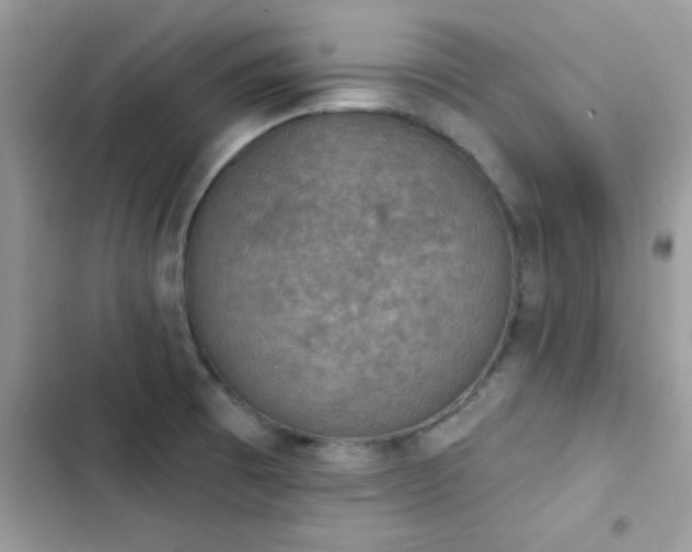 X0000103951473200809191429