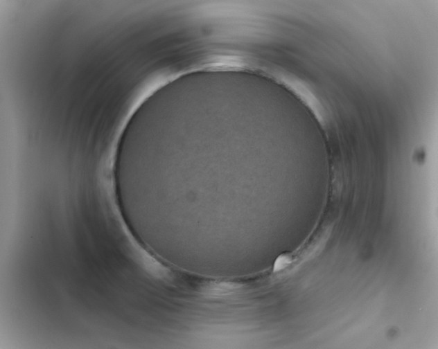 X0000103951475200809191429