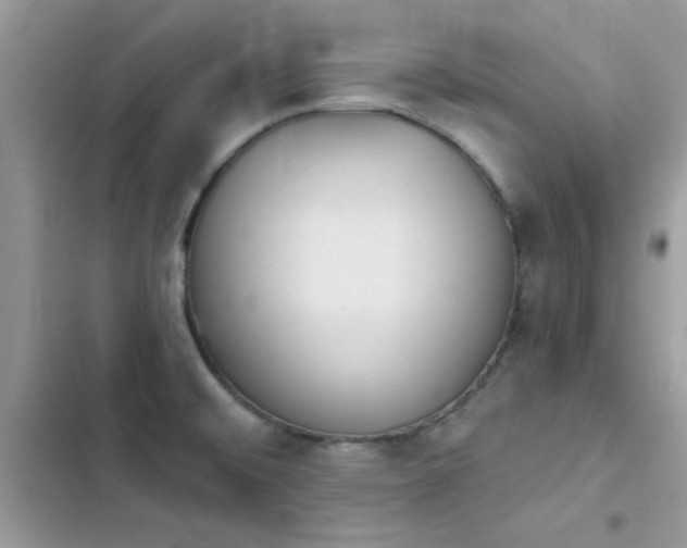 X0000103951476200809191429