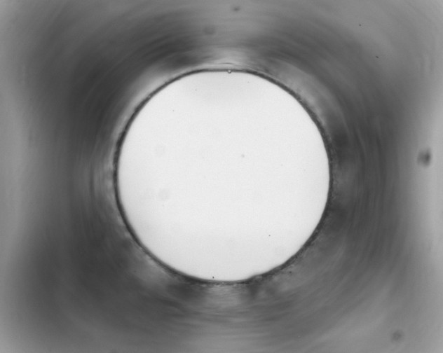 X0000103951480200809191429