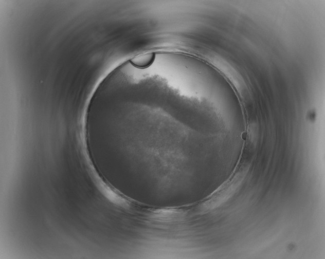 X0000103951482200809191429