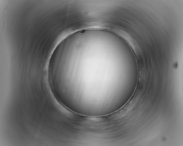 X0000103951483200809191429
