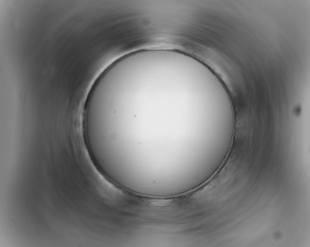 X0000103951484200809191429