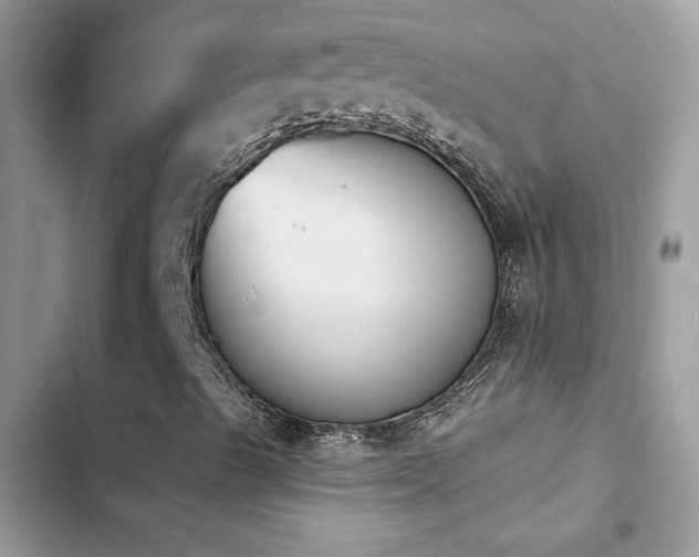 X0000103951489200809191428