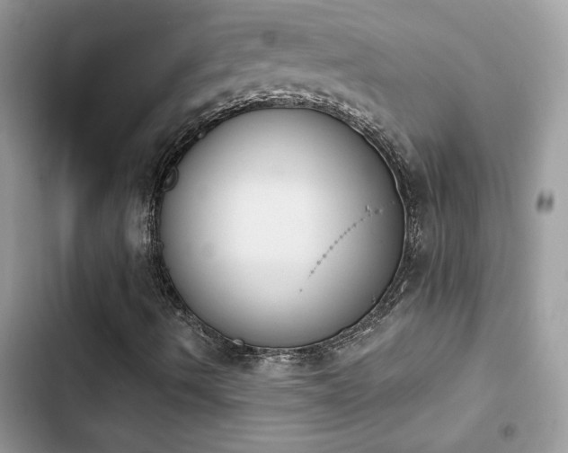 X0000103951490200809191428