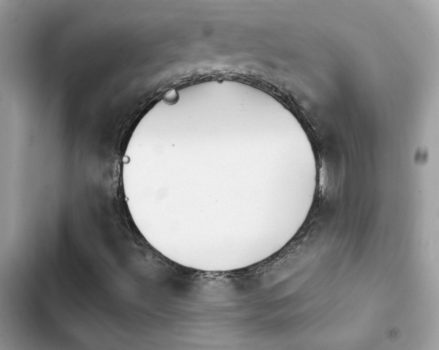 X0000103951492200809191428