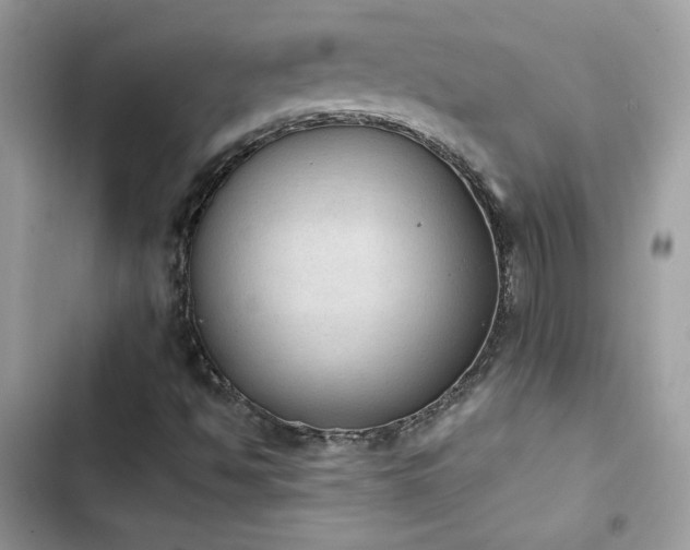 X0000103951494200809191428