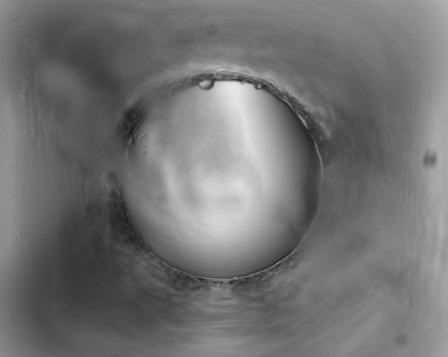 X0000103951495200809191428