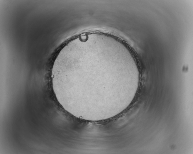 X0000103951496200809191428