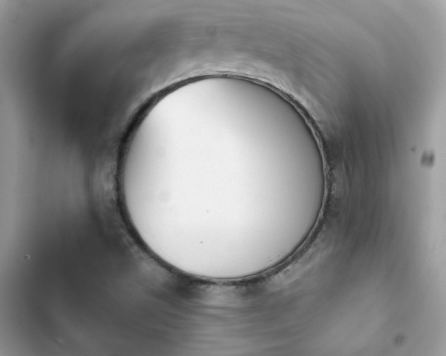 X0000103951499200809191428