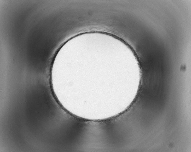 X0000103951500200809191428