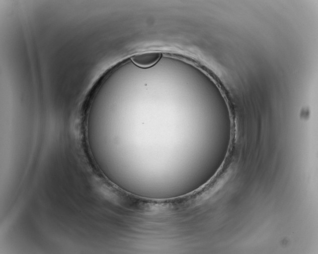 X0000103951501200809191428