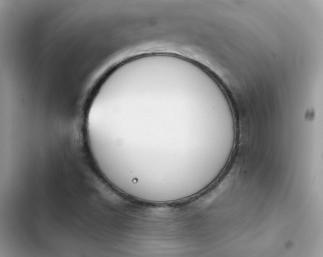 X0000103951502200809191428