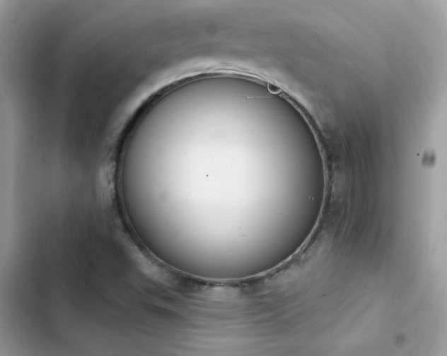X0000103951503200809191428