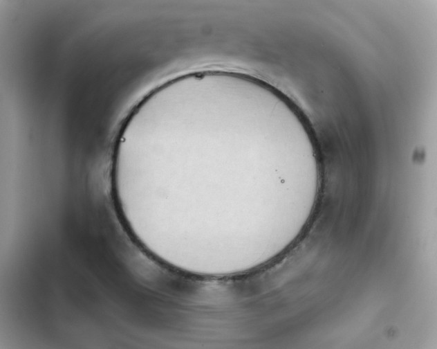 X0000103951504200809191428