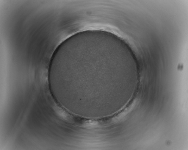 X0000103951505200809191428