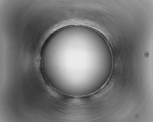 X0000103951507200809191428