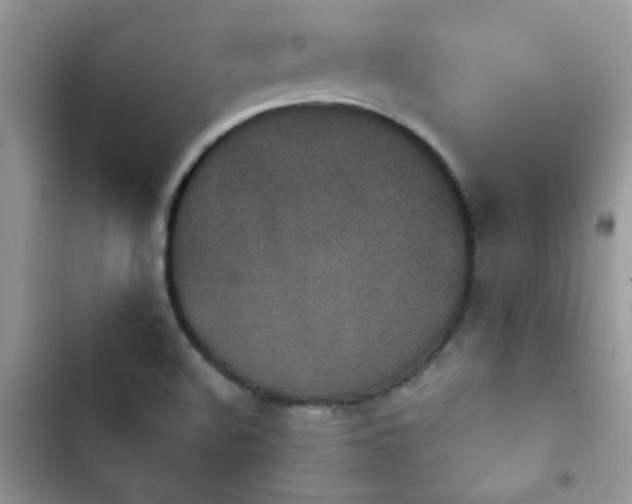 X0000103951508200809191428