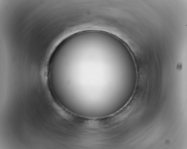 X0000103951511200809191429