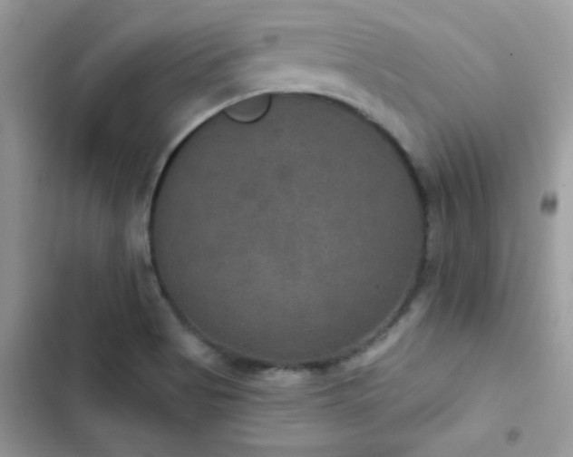 X0000103951513200809191429