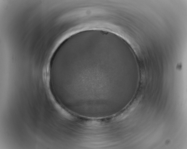 X0000103951515200809191429
